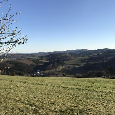 Gluehalm Willingen Villa Willingen  Eksteriør billede