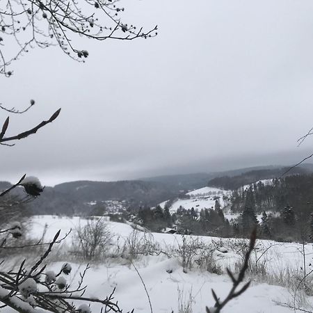 Gluehalm Willingen Villa Willingen  Eksteriør billede