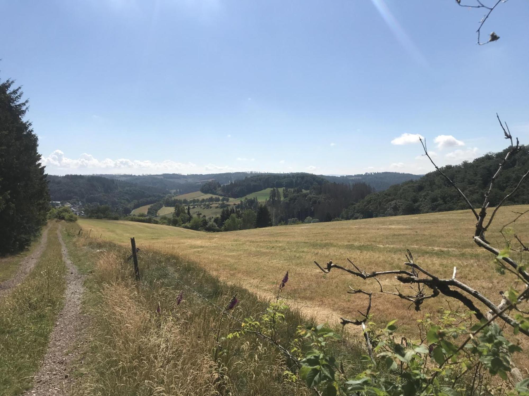 Gluehalm Willingen Villa Willingen  Eksteriør billede