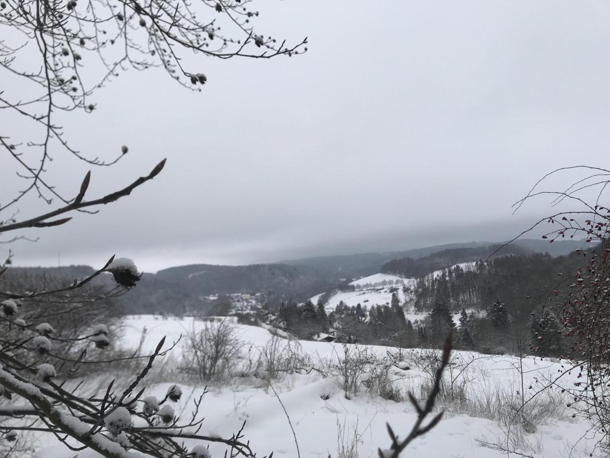 Gluehalm Willingen Villa Willingen  Eksteriør billede