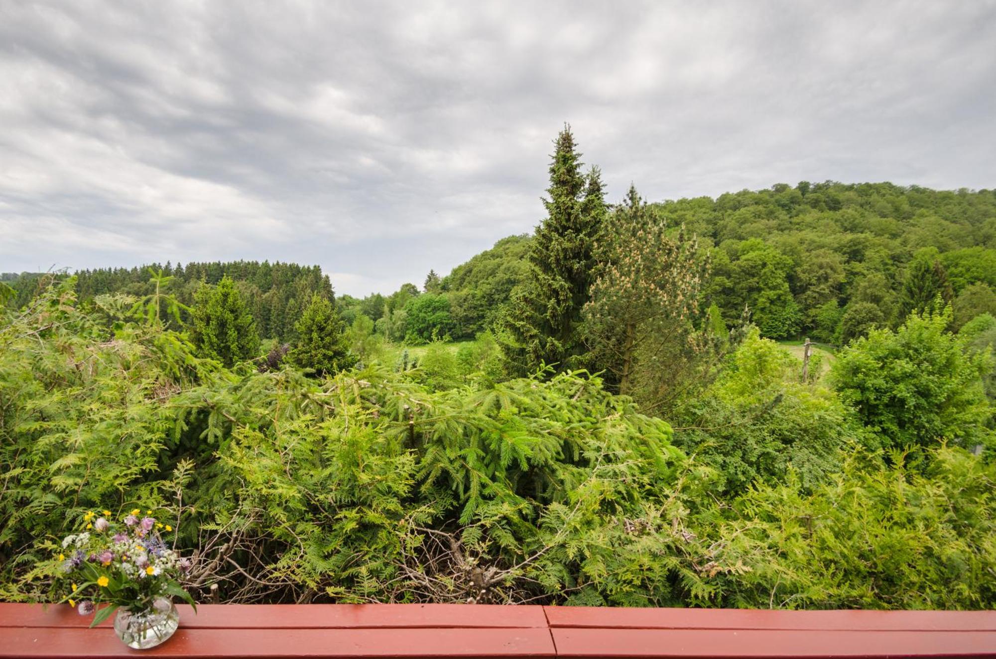 Gluehalm Willingen Villa Willingen  Eksteriør billede